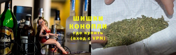 PSILOCYBIN Алзамай