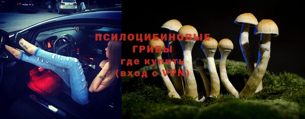 круглые Алексеевка