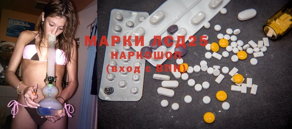 PSILOCYBIN Алзамай
