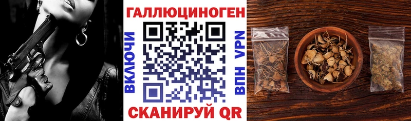 Псилоцибиновые грибы Psilocybine cubensis  как найти закладки  Артёмовский 